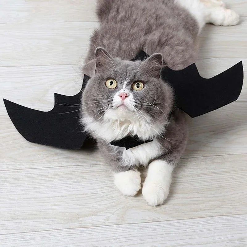 1Pcs Halloween Pet Bat Wings Costume – Cat & Dog Harness