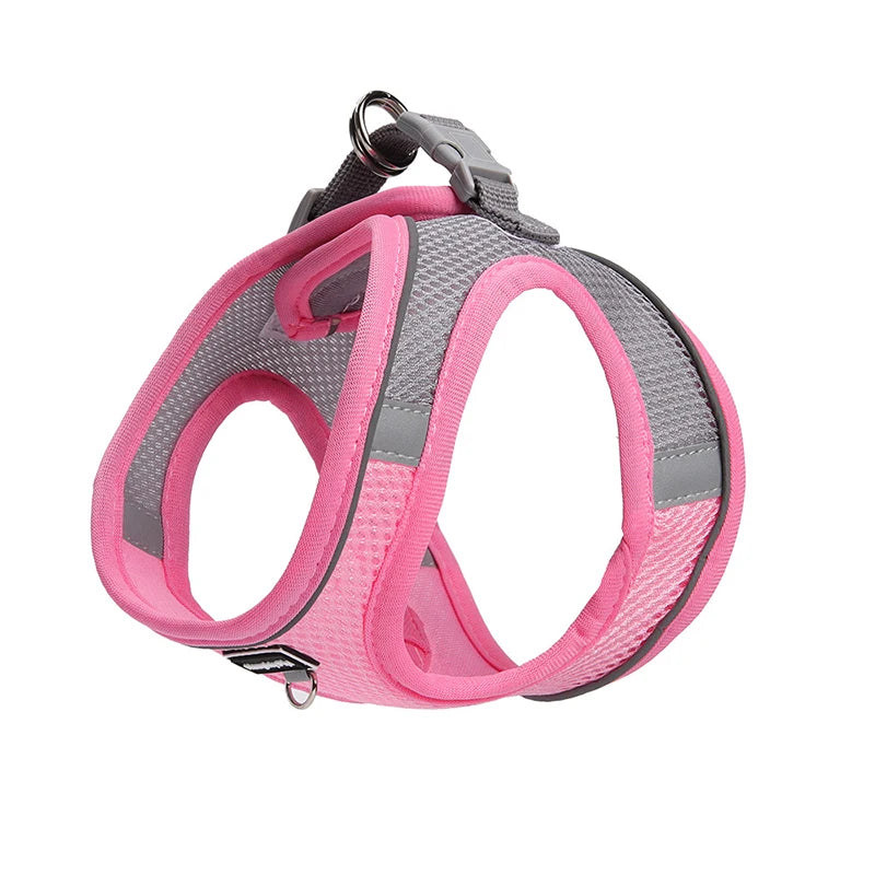 Adjustable Dog Harness & Leash Set for Small Dogs
