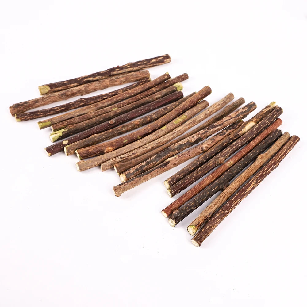 Silvervine Sticks for Cats Natural Catnip Chew Sticks Teeth Molar Chewing Toys for Cat Kitten Kitty Gifts - WTN Essentials