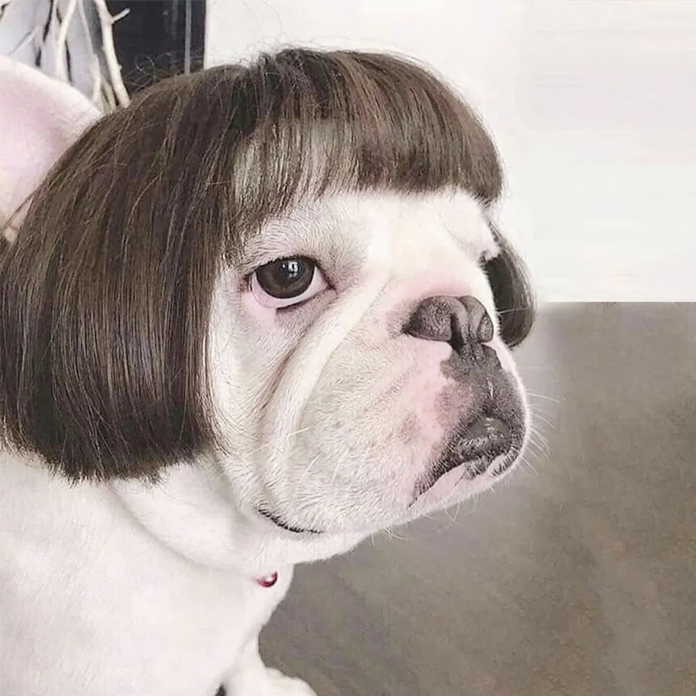 Funny Pet Cosplay Wig – Dog & Cat Costume Hair Hat for Halloween