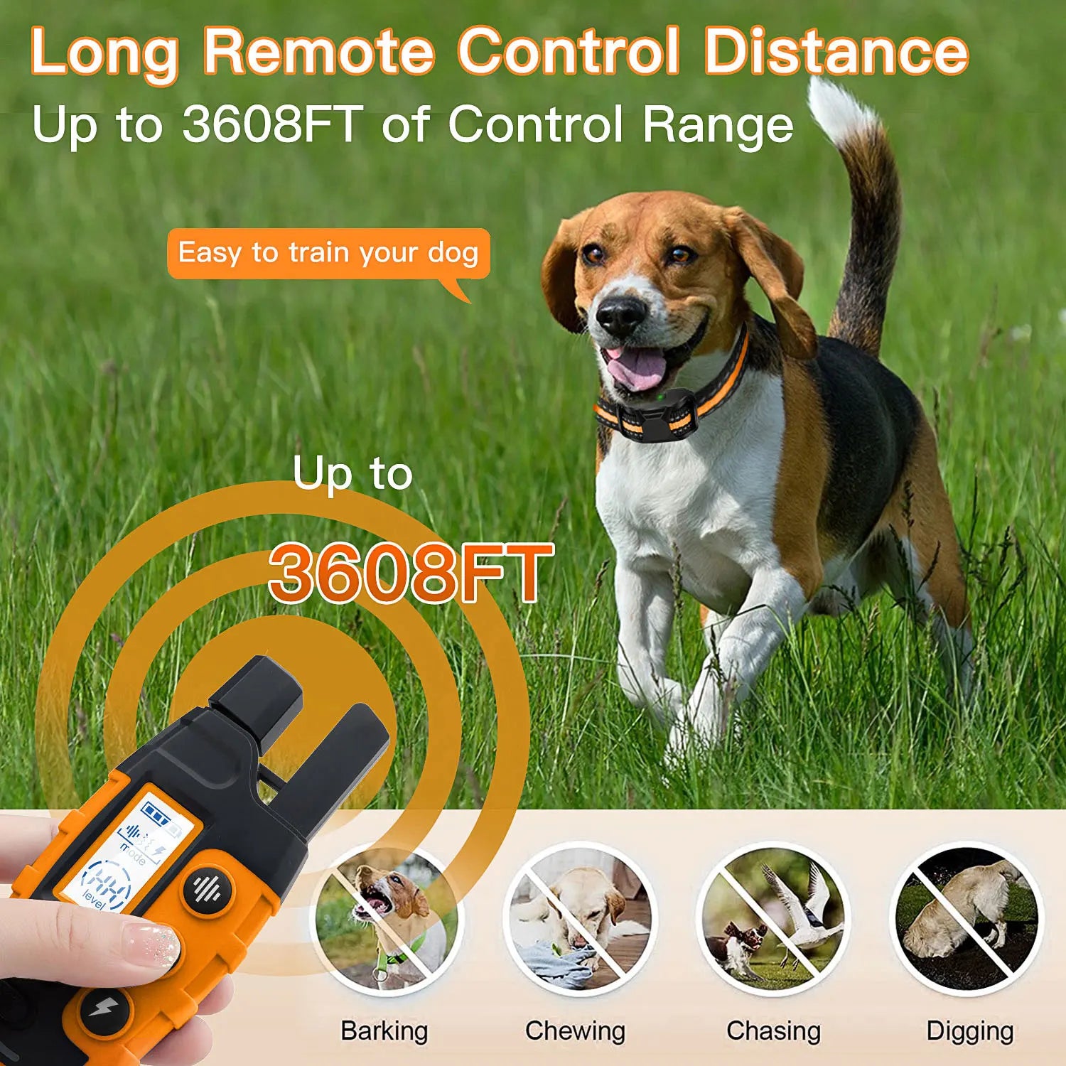 Dog running in field wearing waterproof training collar