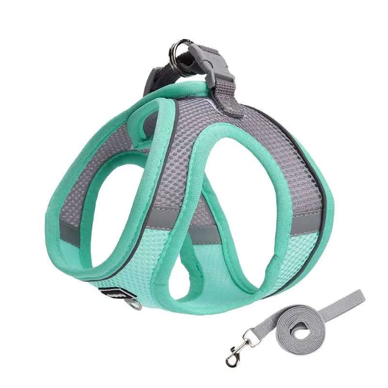 Adjustable Dog Harness & Leash Set for Small Dogs