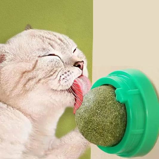 The Catnip Cat Wall Stick-on Ball Toy Scratchers Treats Healthy Natural Removes Balls to Promote Digestion Cat Grass Snack - WTN Essentials