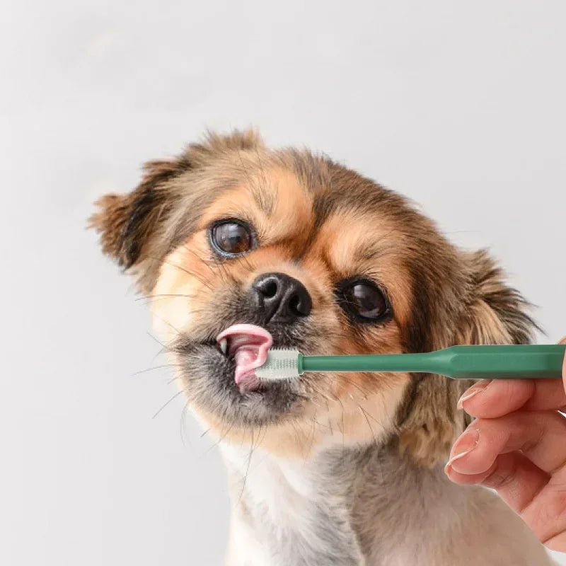 Cat Toothbrush Soft Hair Brush for Cats Mouth Cleaning Cat Brush for Teeth Cleaning Pet Grooming Cats Toothbrush Pet Products - WTN Essentials