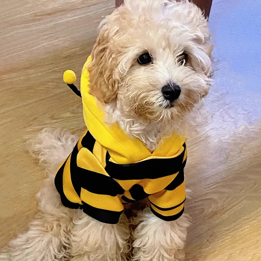 Bee Dog Hoodie – Halloween & Winter Pet Costume for Cats and Small Dogs