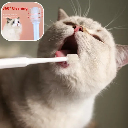 Cat Toothbrush Soft Hair Brush for Cats Mouth Cleaning Cat Brush for Teeth Cleaning Pet Grooming Cats Toothbrush Pet Products - WTN Essentials