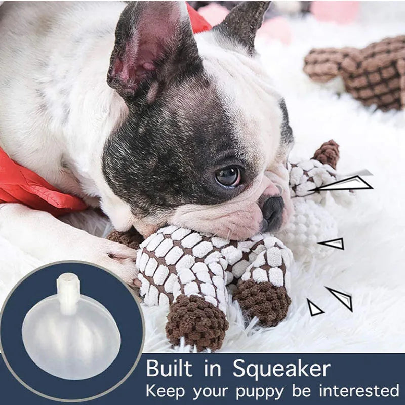 Squeaky Dog Toy – Durable Chew & Molar Toy for Small & Large Dogs