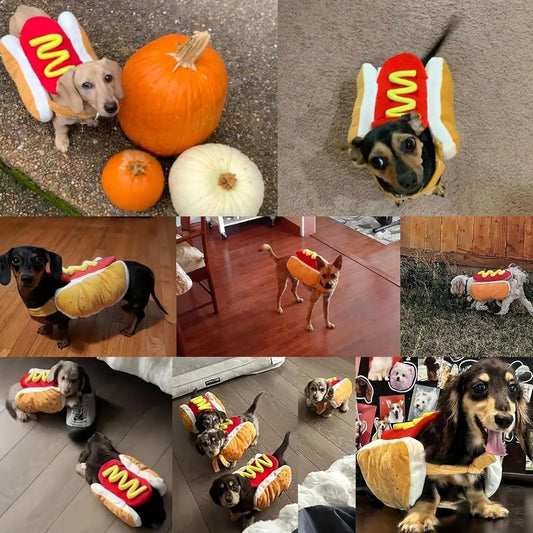 Funny Hot Dog Halloween Costume for Dogs & Cats – Adjustable Pet Outfit