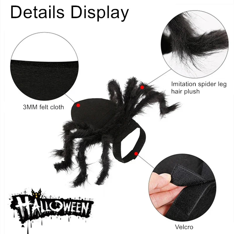 Funny Halloween Costumes – Spider Halloween Cat Costume for Pets