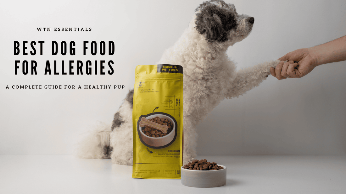 Best Dog Food for Allergies: A Complete Guide for a Healthy Pup