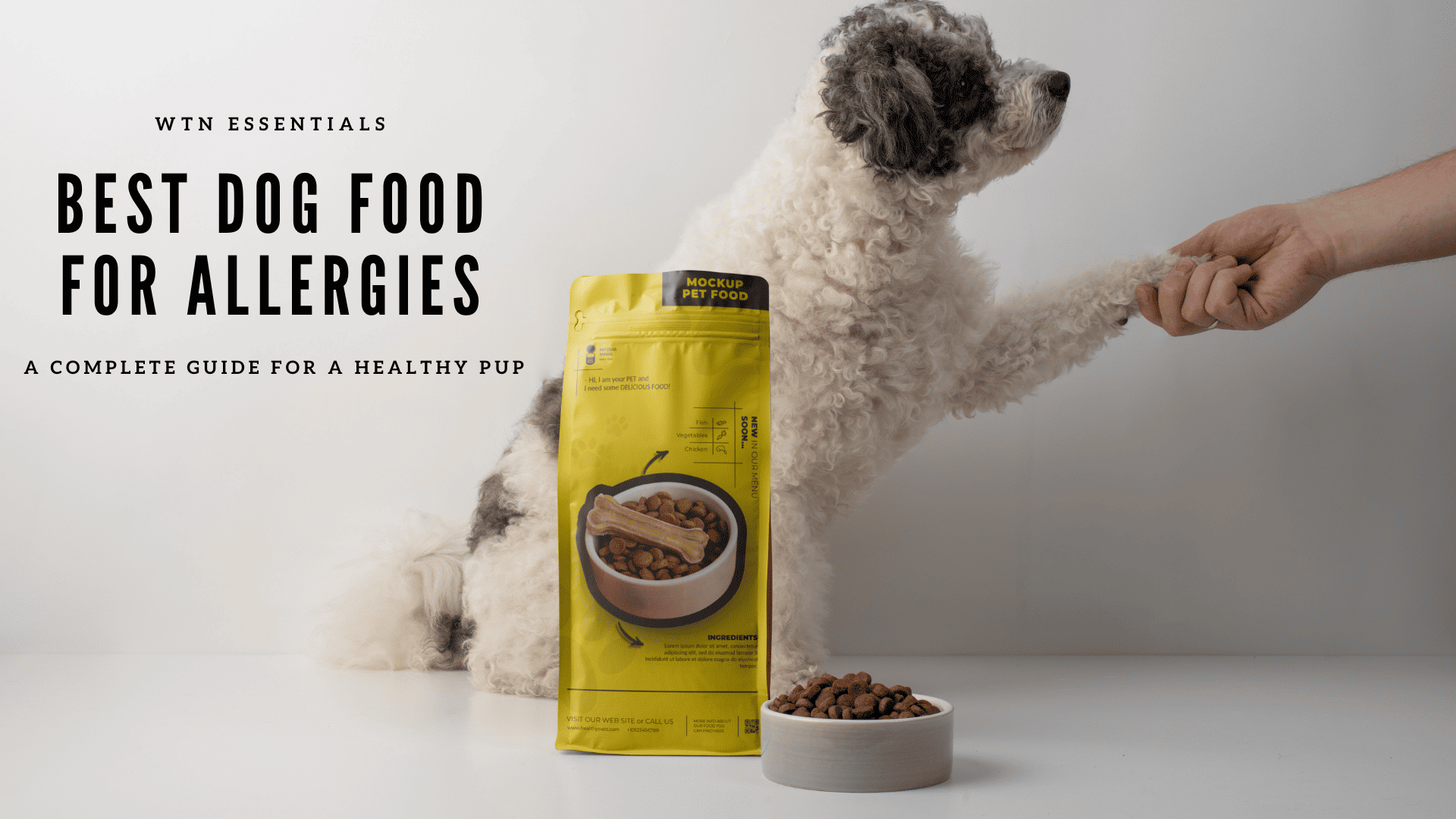 Best Dog Food for Allergies: A Complete Guide for a Healthy Pup