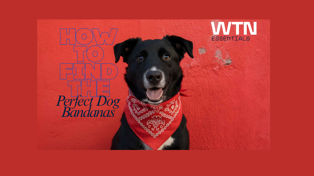 How to Find the Perfect Dog Bandanas for Holidays, Birthdays, and Everyday Wear