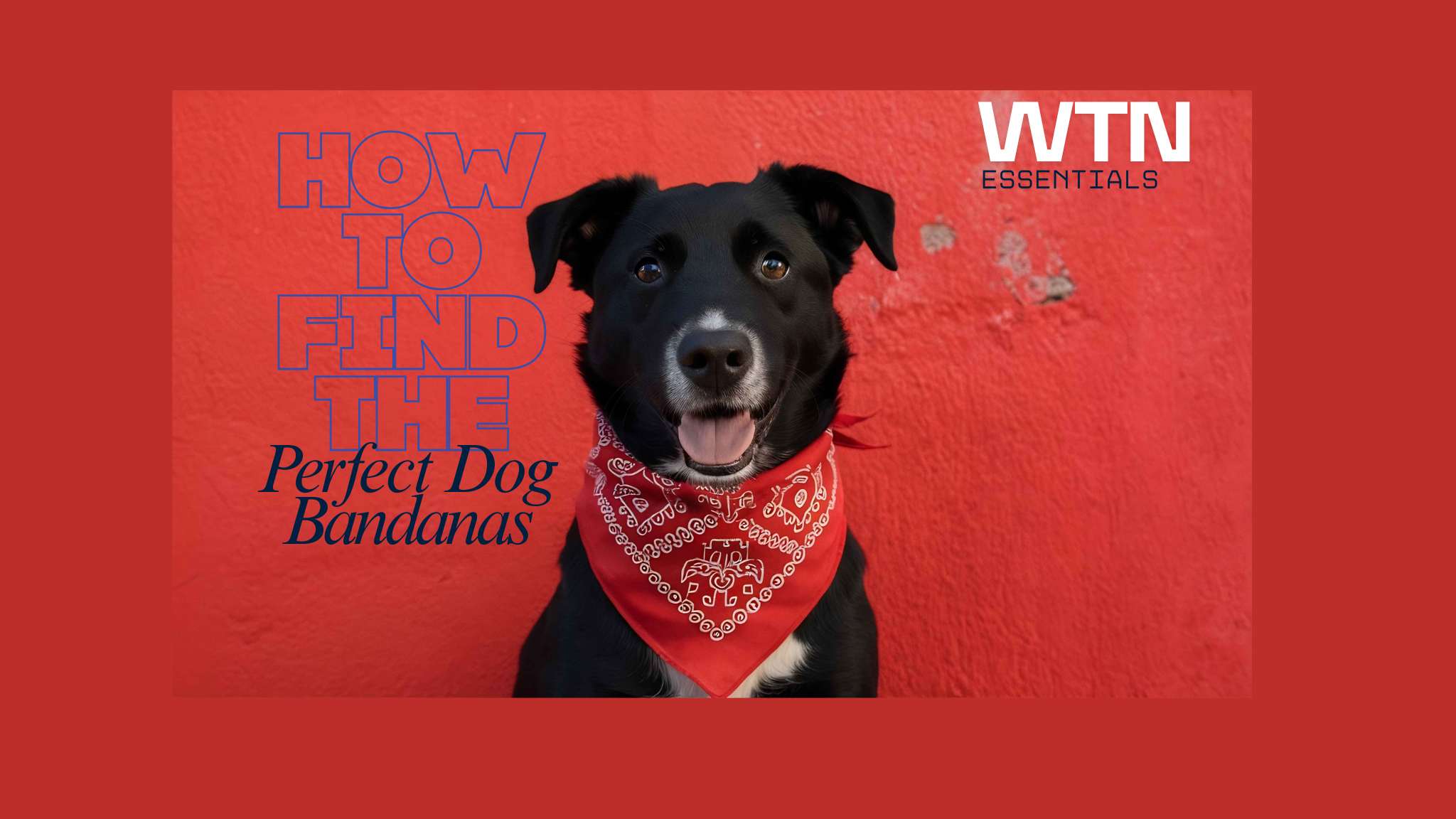 How to Find the Perfect Dog Bandanas for Holidays, Birthdays, and Everyday Wear