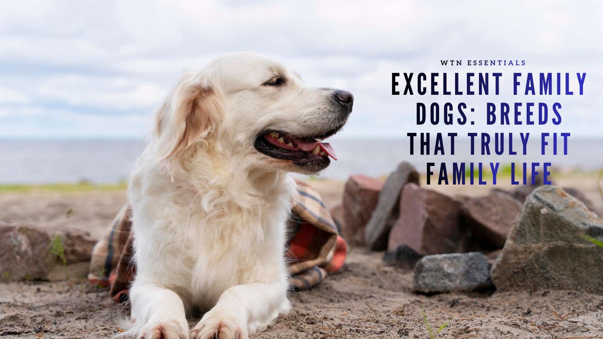 Excellent Family Dogs: Breeds That Truly Fit Family Life