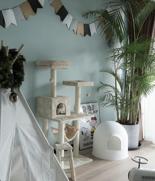 How to Build the Perfect Pet Corner at Home?