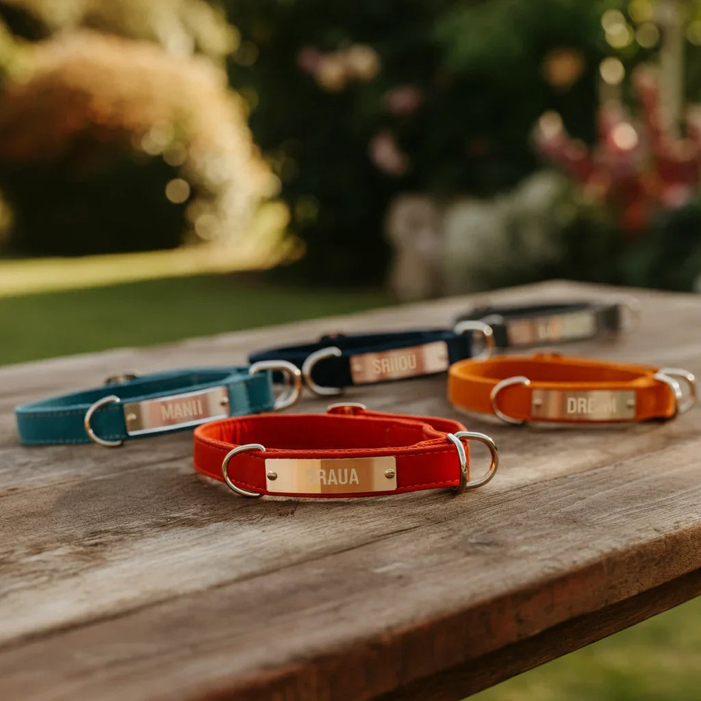 Choosing the Perfect Dog Collars with Name Tags