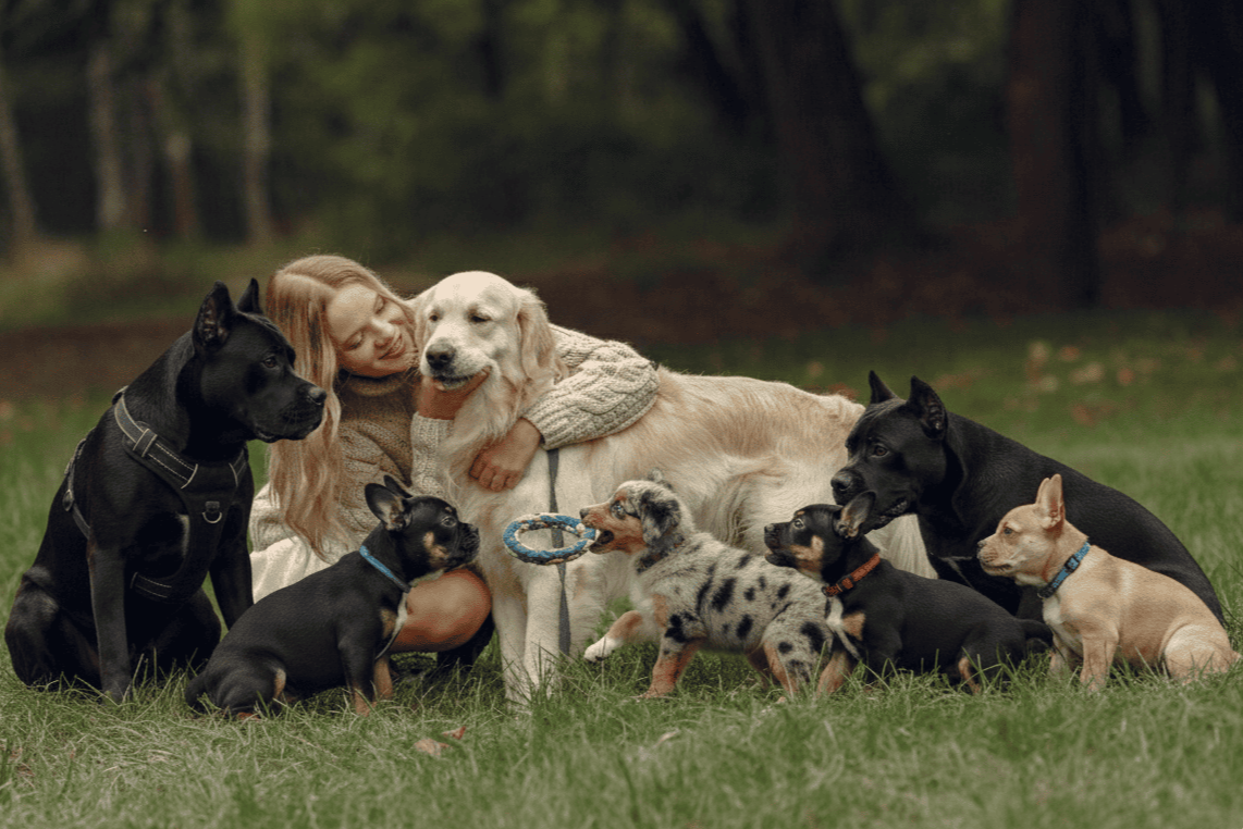 Decoding America's Top 5 Best Dog Breeds