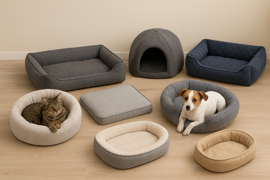 Why The Right Pet Bed Matters For Your Furry Friend