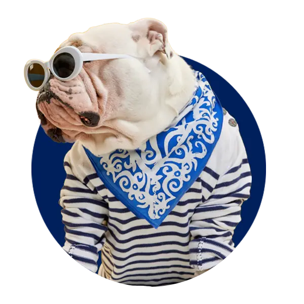 Pet Clothing