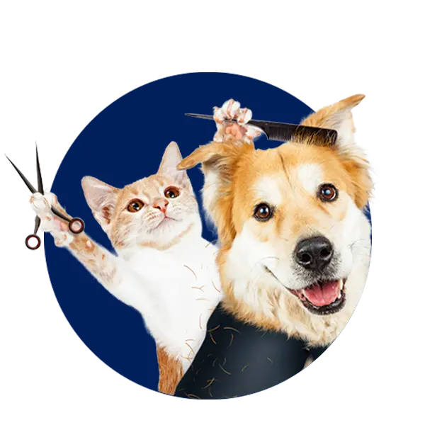 Pet Grooming Tools