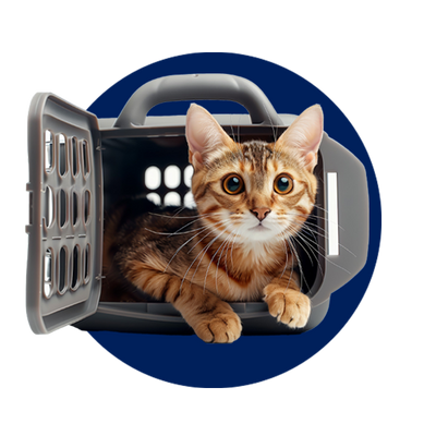 Pet Carrier