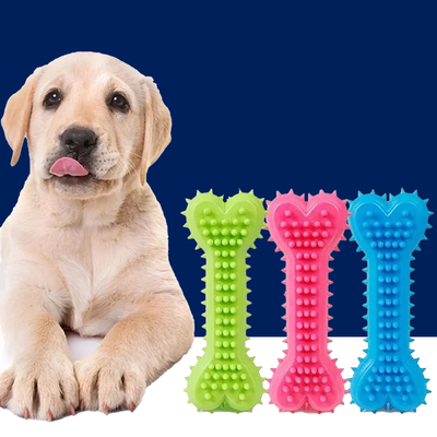 Durable Rubber Bone Chew Toys for Puppies and Teething