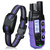 Dog training collar with remote control on a white background