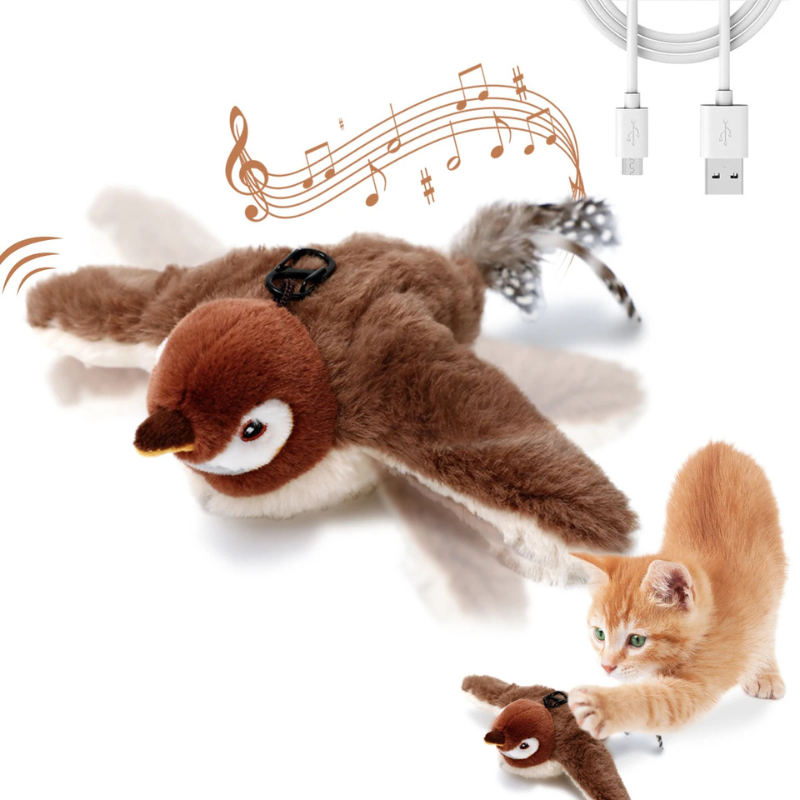 Plush penguin toy with music notes, USB cable, and a cat playing with the toy on a white background.