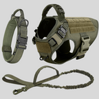 Olive green tactical dog harness and leash on a light gray background