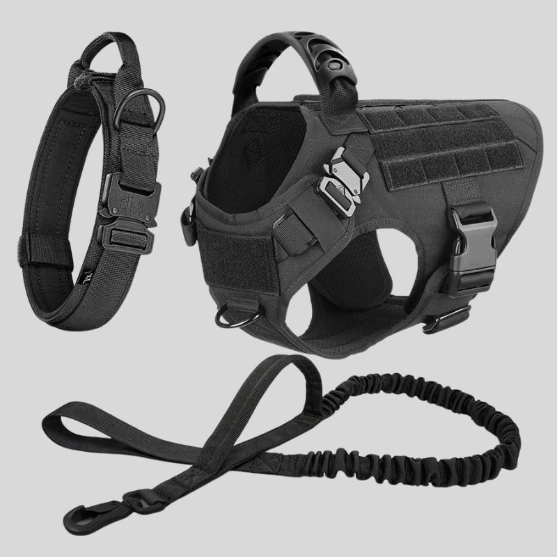 Black dog harness, collar, and leash set on a light gray background