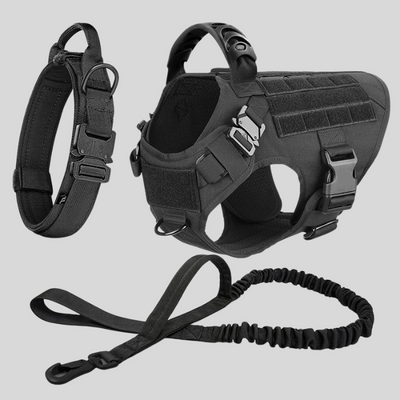 Black dog harness, collar, and leash set on a light gray background