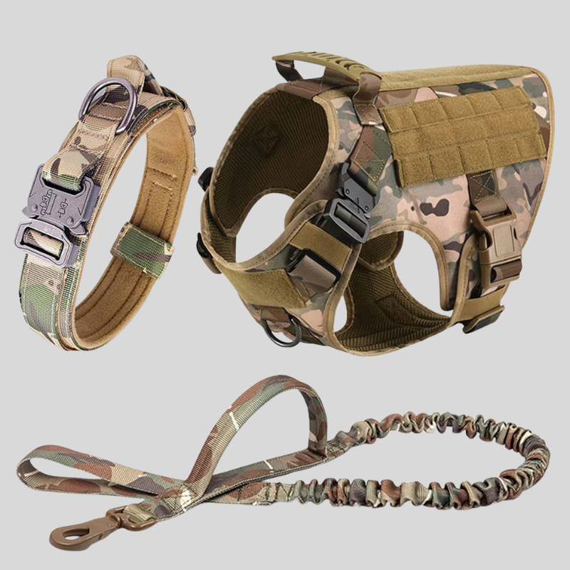 Camouflage dog harness, collar, and leash set on a light gray background