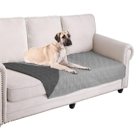 Dog lying on a gray pet bed placed on a white couch