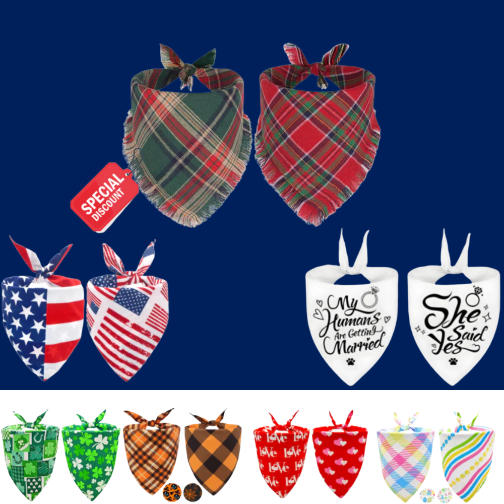 2PCS Christmas Dog Bandanas – Red and Green Plaid with Tassels