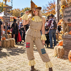 Scarecrow Halloween Costume Accessories Set for Adults