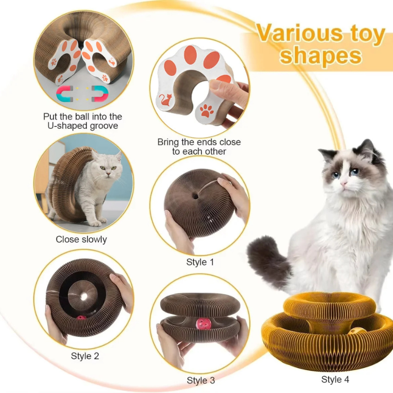 Cat toy with various shapes and a cat sitting next to it