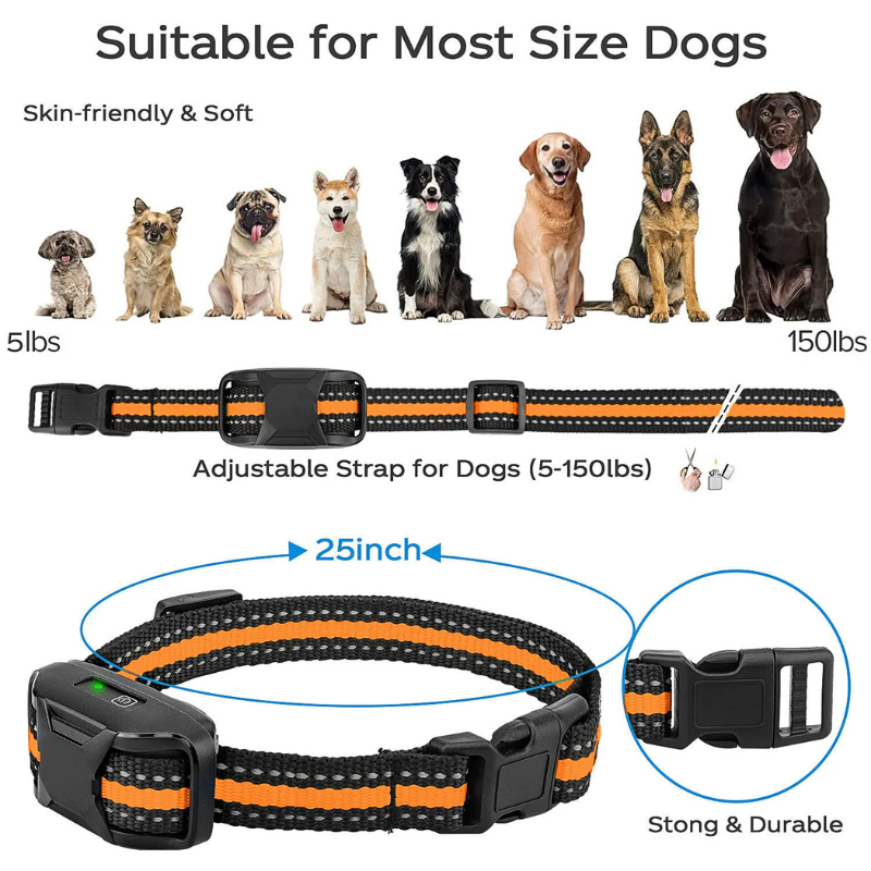 Dog collar with adjustable strap for dogs of various sizes, shown on a white background.