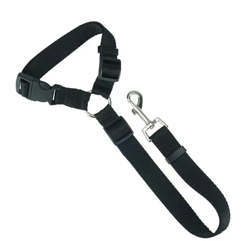 Black dog leash with metal clip on a white background