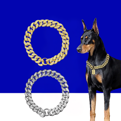 Dog Chain Collar for Your Confident Pet | Stylish & Strong