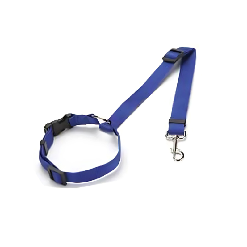 Blue dog collar and leash set on a white background