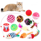 Cat sitting next to a variety of colorful cat toys on a white background