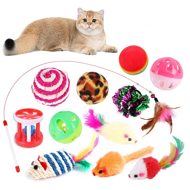 Cat sitting next to a variety of colorful cat toys on a white background