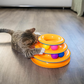 Cat playing with a colorful three-tiered toy on a wooden floor.