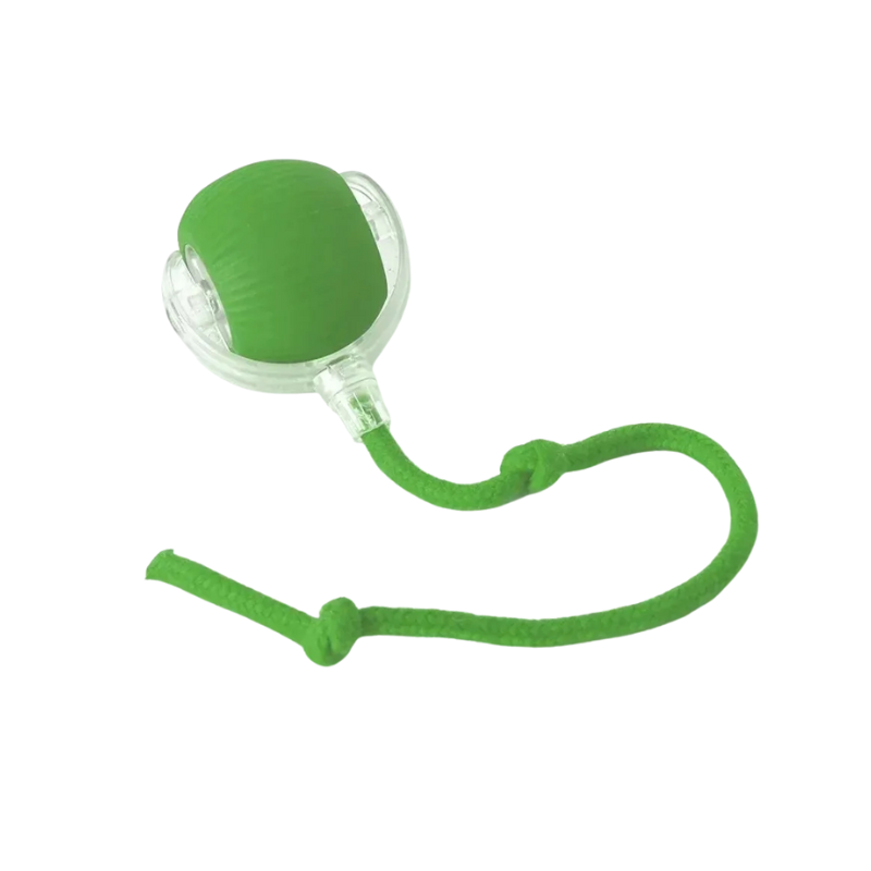 Green dog toy with a rope on a white background