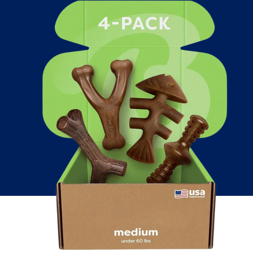 4-Pack Dog Chew Toys for Aggressive Chewers, Made in USA, 60lbs and Under