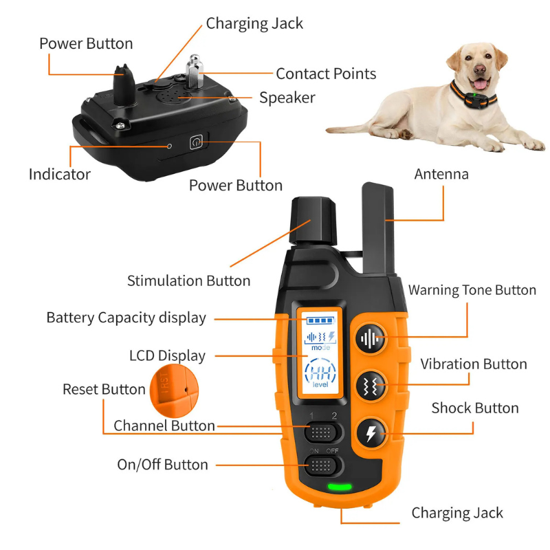 Dog training collar with labeled components and a dog wearing it on a white background