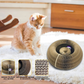 Cat playing with a corrugated cardboard cat toy on a white rug.