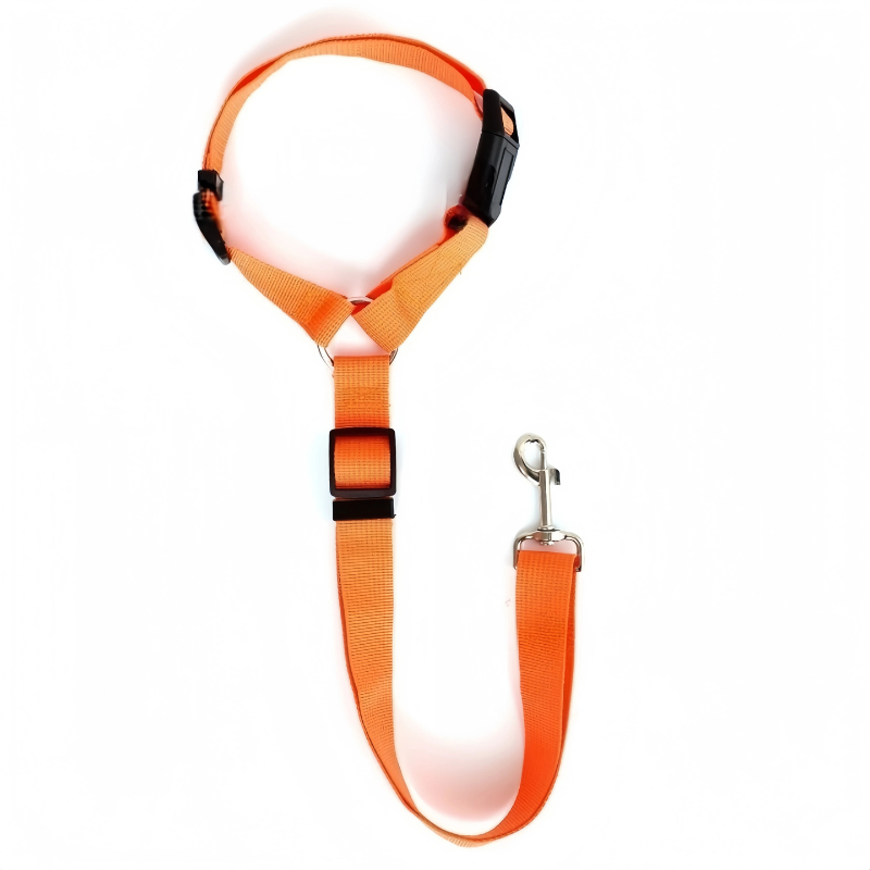 Orange dog leash with a clip on a white background
