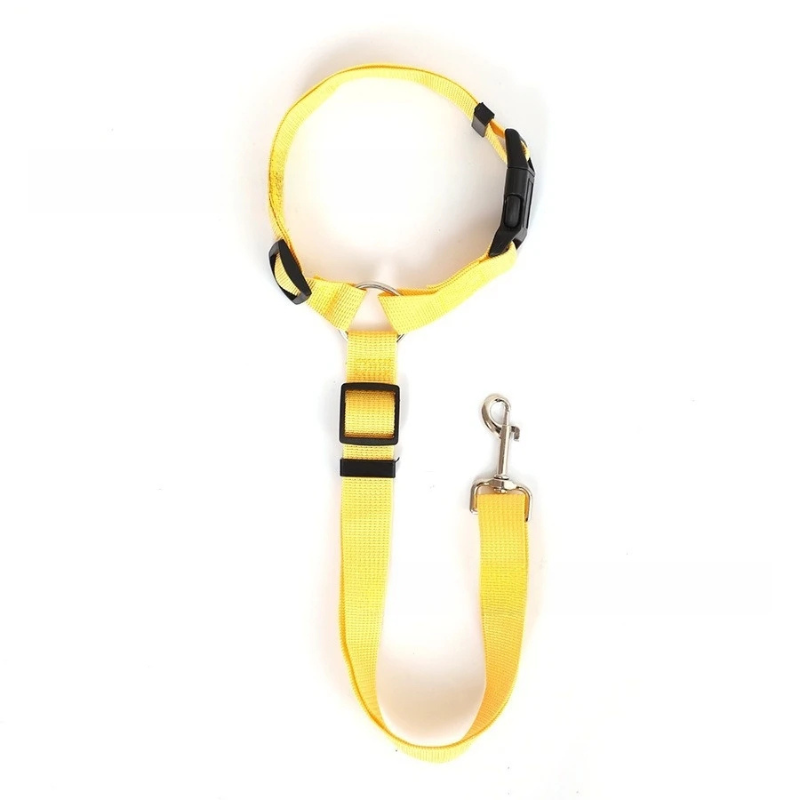 Yellow dog leash with a clip on a white background