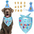 Dog wearing a 'Birthday Boy' bandana with a party hat and number accessories on a white background